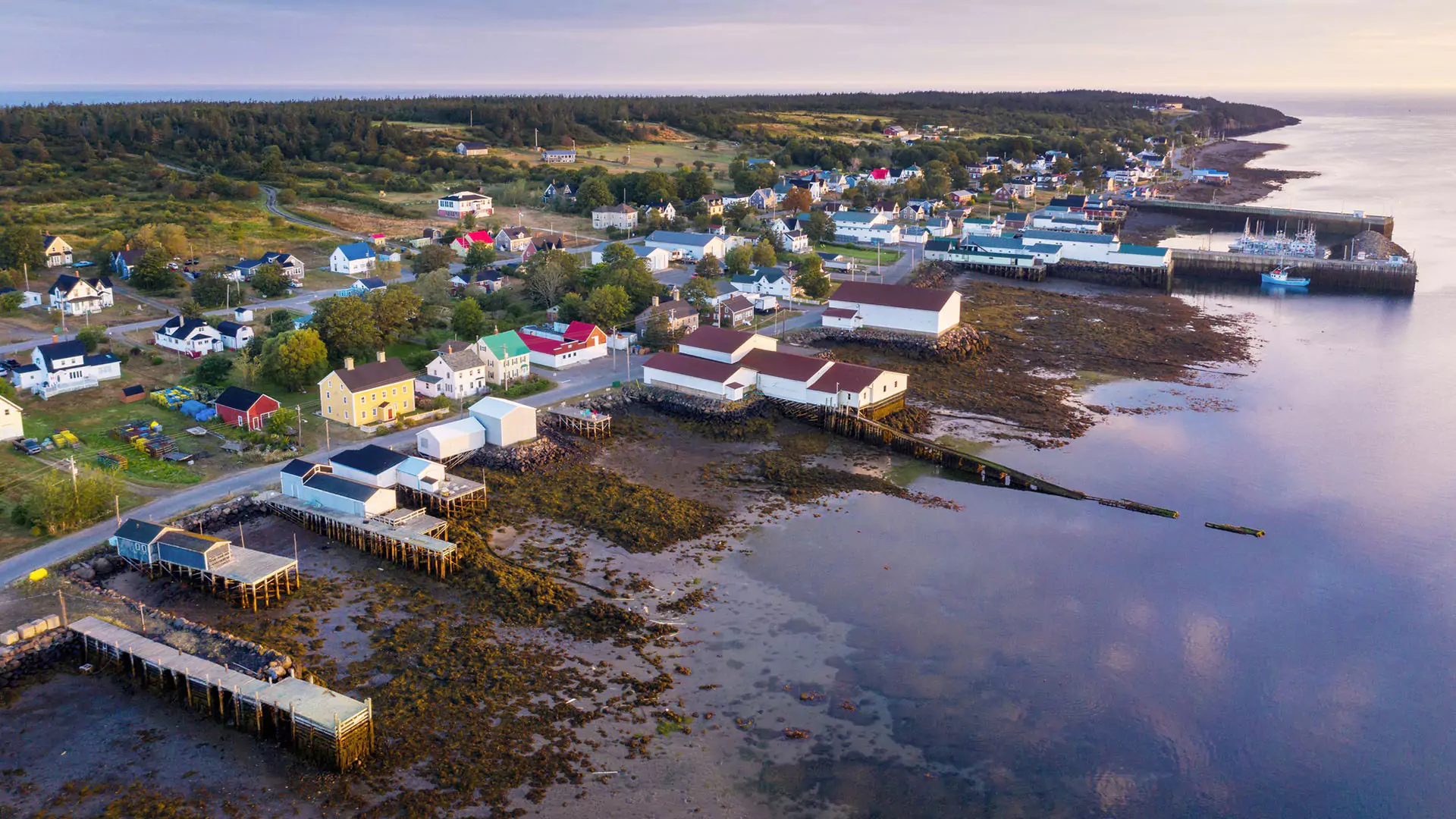 Morning low tide in Westport (Photo by Adam Hill)