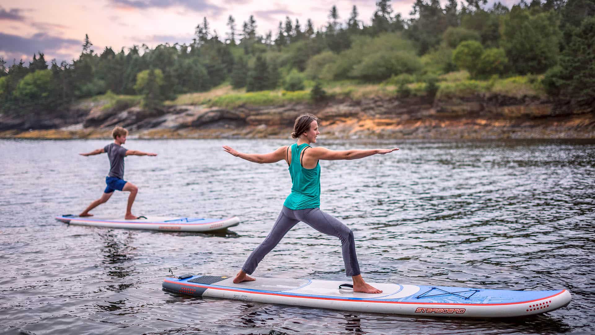 people on stand up paddle boards