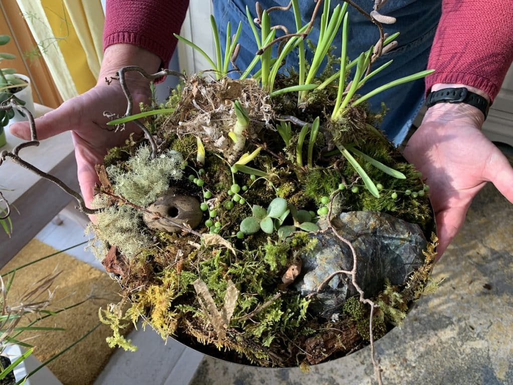 Moss Garden Workshop